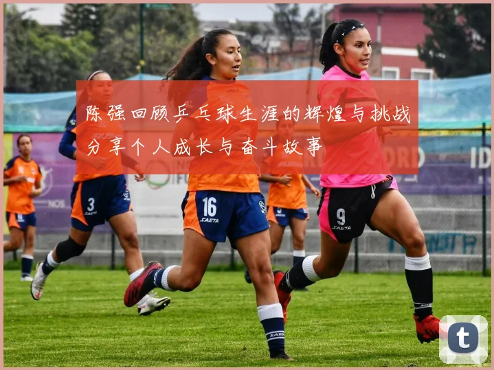 陈强回顾乒乓球生涯的辉煌与挑战分享个人成长与奋斗故事